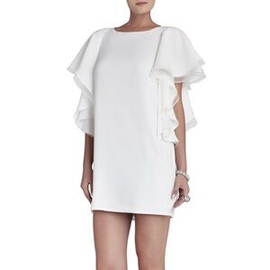BCBGMaxAzria ruffle sleeve dress